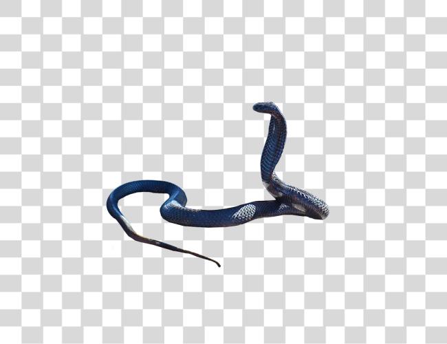 Download Snake Blue Clip Art