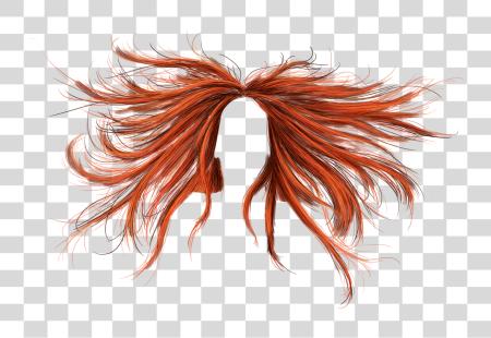 Download Hair PNG file