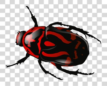 Download Bug PNG file