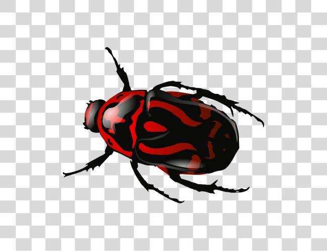 Download Bug Clip Art