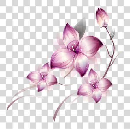 Download Pink Flower Floral Design and Blossom Illustration Cutout PNG file