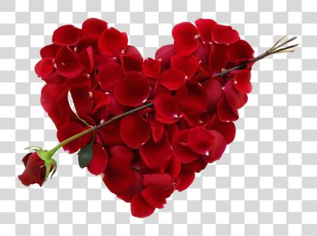 Download heart shape formed by red rose petals with an arrow of rose piercing through PNG file