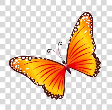 Download Orange Wing Butterfly Nature Illustration PNG file