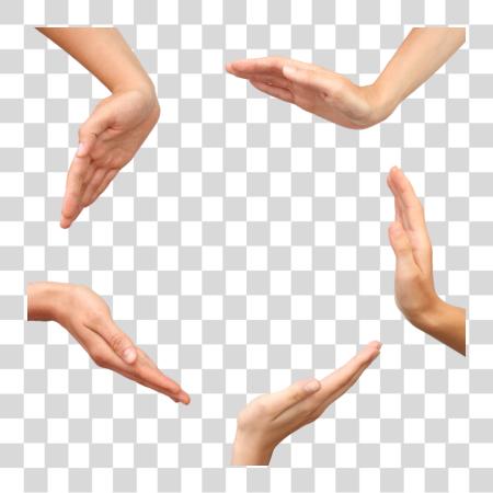 Download Hands in Circle Open Palms Collaboration Teamwork File PNG file