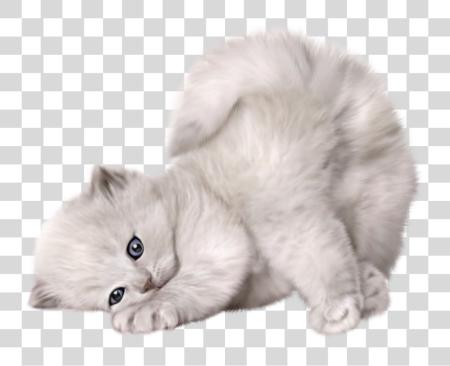 Download juguetón blanco Kitten esponjoso adorable Pet PNG file