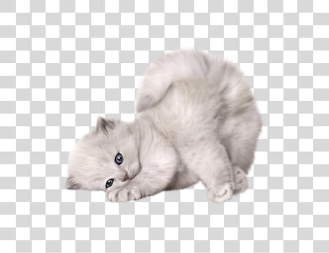 Download Playful White Kitten Fluffy Adorable Pet Clip Art