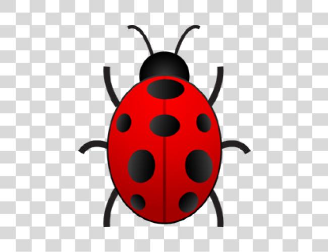 Download Bug Clip Art