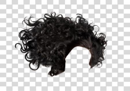 Download Hair PNG file