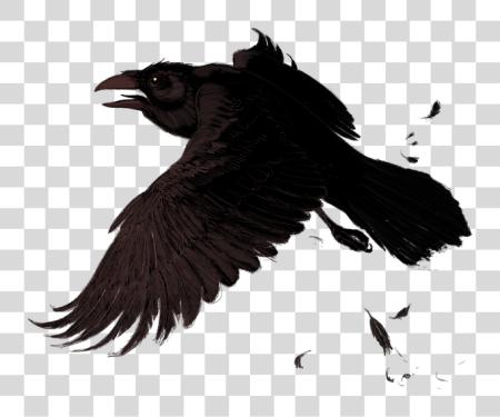 Download Raven PNG file