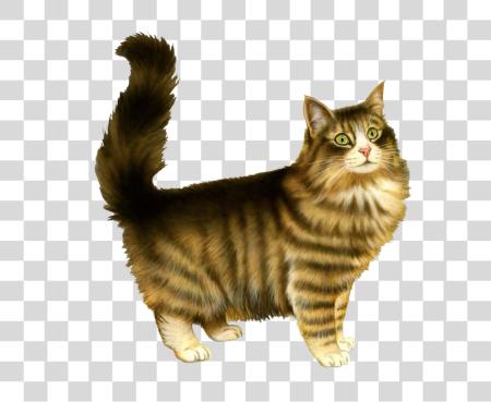 Download Domestic gato Types y cuidado Tips PNG file