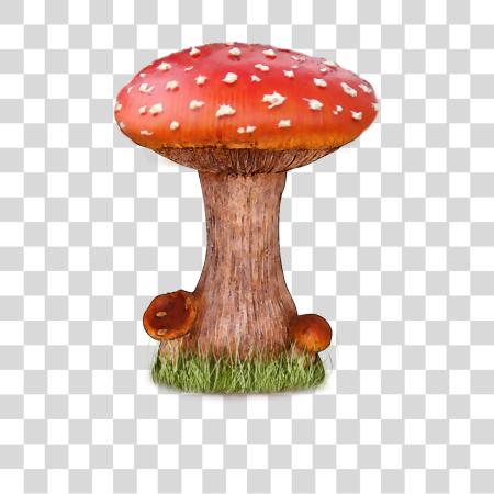 Download Mushroom  PNG file