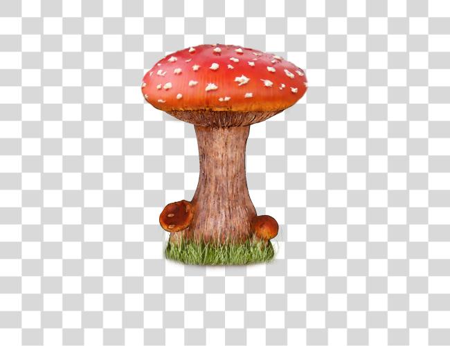 Download Mushroom  Clip Art