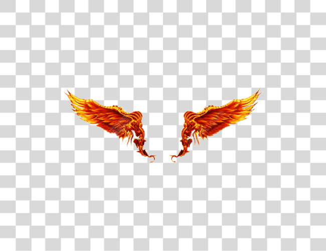 Download firewings wings fire Black Wings White Clip Art