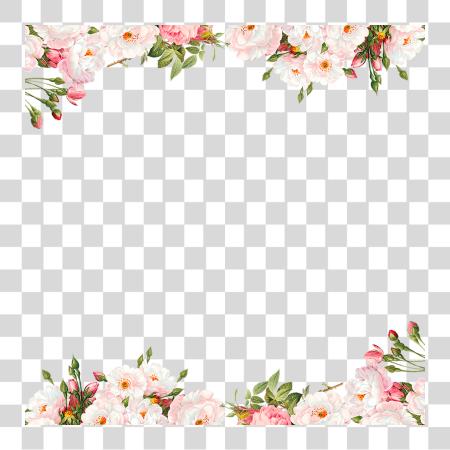 Download Pink Flower Border PNG file