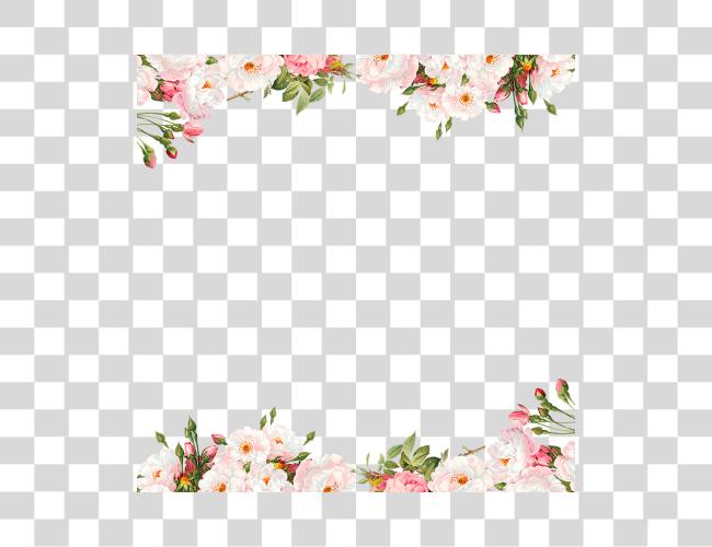 Download Pink Flower Border Clip Art