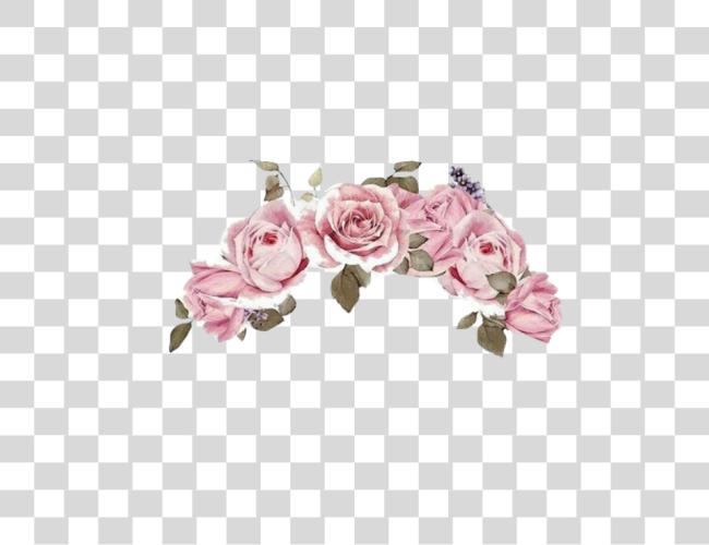 Download rosa flor corona flowercrown flor Clip arte