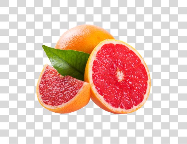 Download Grapefruit Clip Art