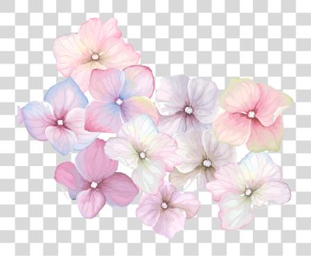 Download Pink Watercolor Flowers Fondos De Flores Y Mariposas PNG file