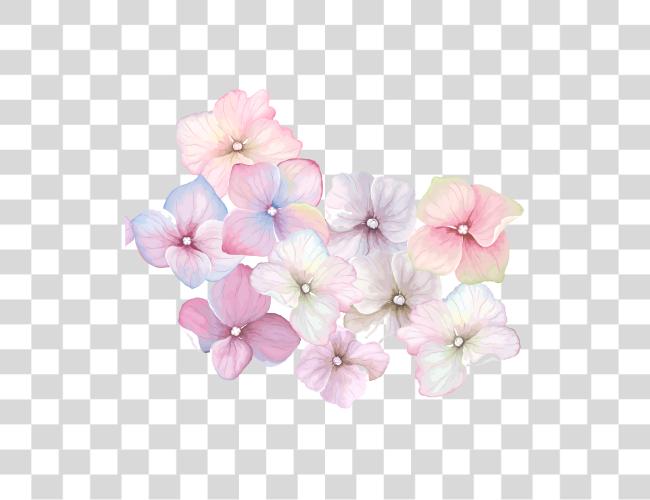 Download Pink Watercolor Flowers Fondos De Flores Y Mariposas Clip Art