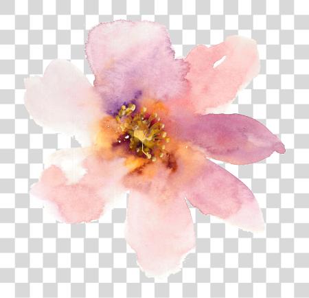 Download pancarta Freeuse Stock Watercolours Pale Pale Pink flor Watercolour PNG file