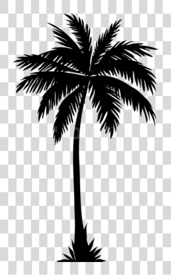 Download Palm Tree Silhouette Palm Trees Silhouette PNG file