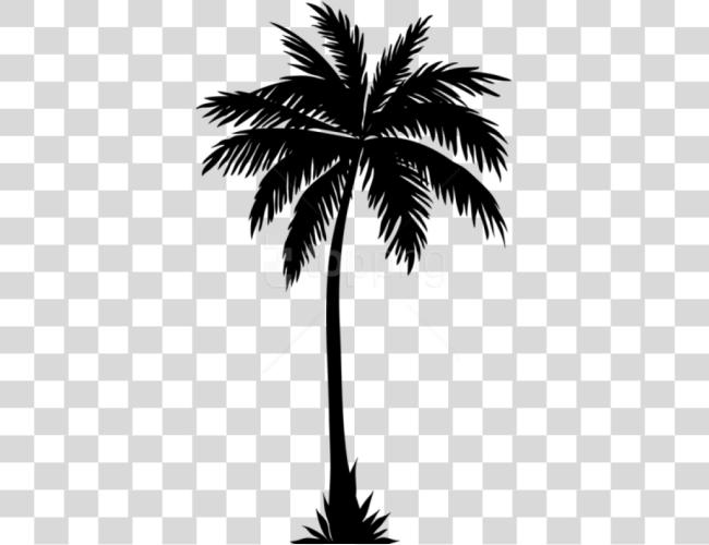 Download Palm Tree Silhouette Palm Trees Silhouette Clip Art