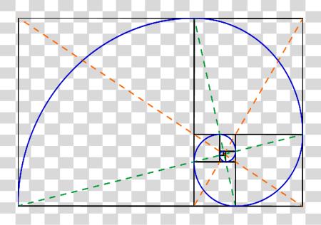 Download Golden Ratio Golden Ratio Spiral Overlay PNG file