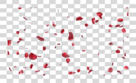 Download Rose Petals Image Rose Petals Gif PNG file