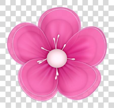 下载 flor rosa 粉红色 自然 美丽的 Flowers PNG file