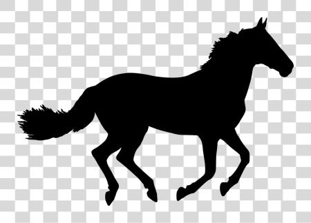 Download caballo silueta negro caballo dentro Coolmore PNG file