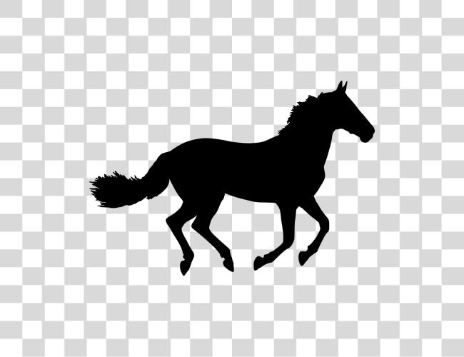 Download Horse Silhouette Black Horse Inside Coolmore Clip Art