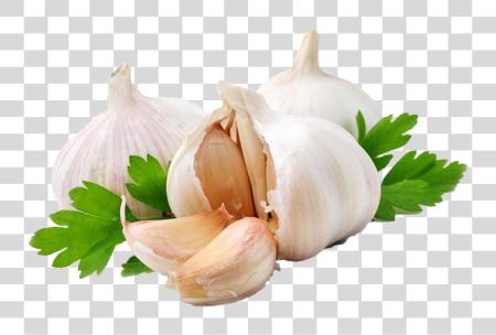 下载 Garlic Image Garlic PNG file