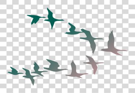 Download Flock Of Birds Cartoon PNG file