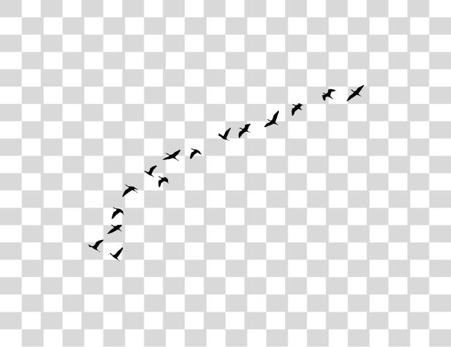 Download Birds Flying Away Clip Art