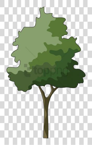 下载 Trees In Elevation 为了 Photoshop Image Tree Elevation PNG file