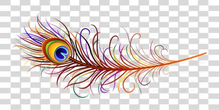 Download Krishan Bhajan Sandhya Peacock Feather PNG file