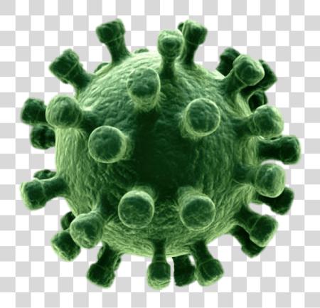 下载 Virus PNG file