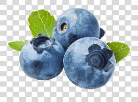 下载 Blueberries 蓝莓 PNG file