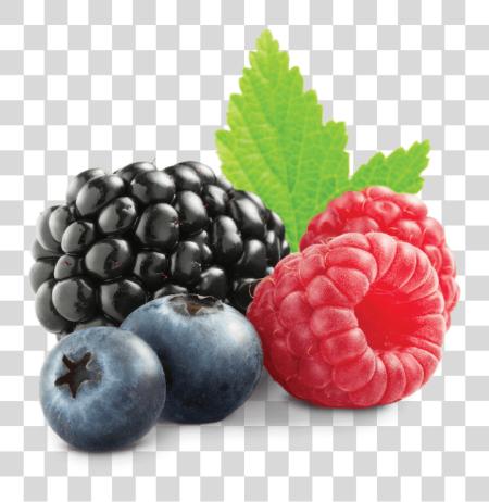 Download Clip Royalty Fruit Berry Berry PNG file