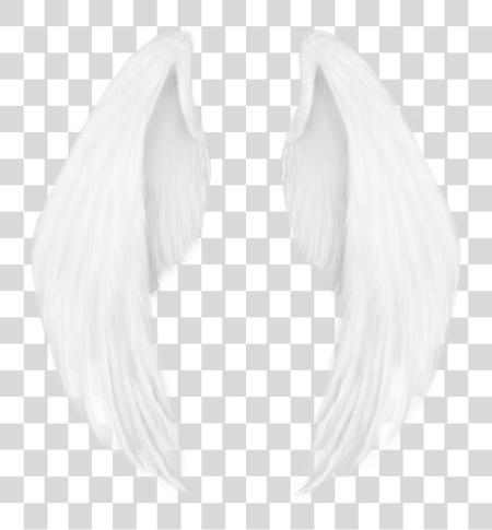 Download Alas De ángel PNG file