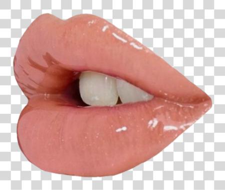 Download Lip Lip Lips Glossy Lips estético PNG file