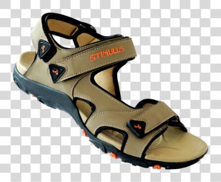 下载 Seaside Chappal Paragon Stimulus Sandals Price PNG file