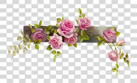 Download Border flor rosa línea Image vintage flor Border PNG file