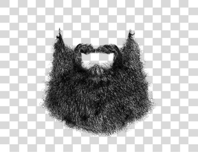 تحميل جديد أنيق Beard كبير Beard الى Photoshop مقطوعة فن