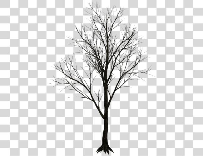 Download Dry Tree Real Leafless Tree Clip Art