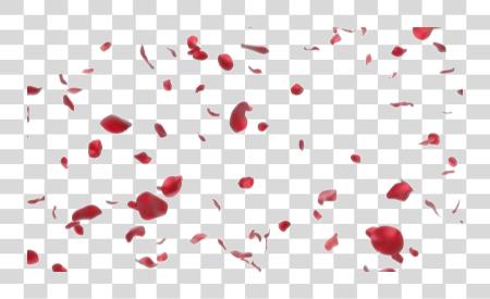 Download Falling Petals Rose Petal Falling PNG file