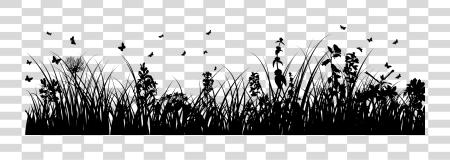 Download Privacy Policy Grass Silhouette PNG file