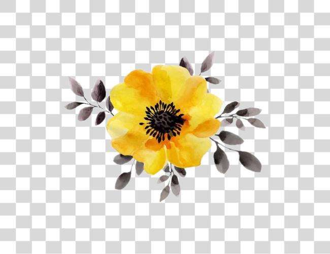 Download amarillo Sticker amarillo acuarela flores Clip arte