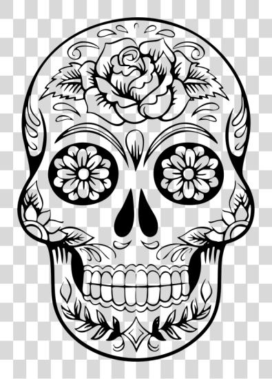 تحميل وسط صورة Sugar Skull بي ان جي ملف