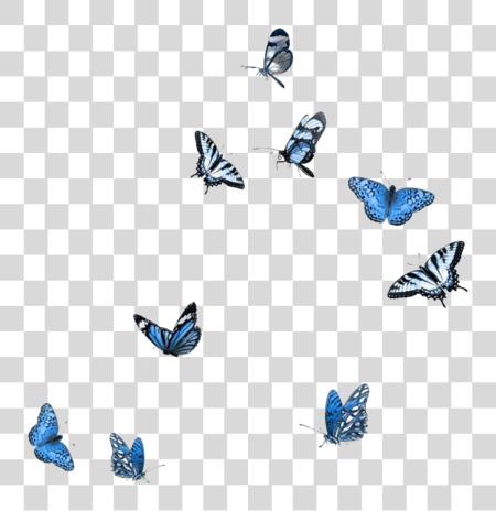 Download azul blanco negro Butterflies mariposa Polyvore Moodboard Butterflies Overlay PNG file